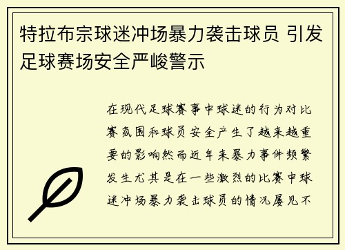 特拉布宗球迷冲场暴力袭击球员 引发足球赛场安全严峻警示 特拉布宗球迷冲场暴力袭击球员 引发足球赛场安全严峻警示